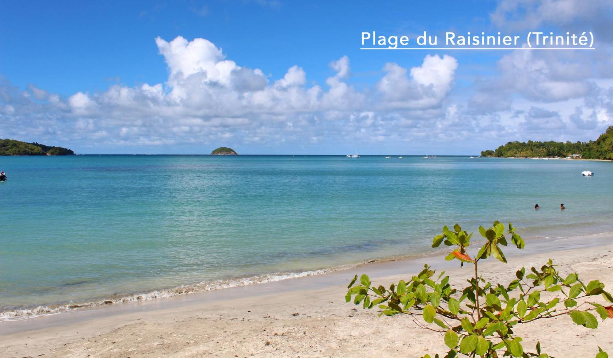 F3 Hibiscus - Piscine Chauffee - Vue Mer - 9 Min De La Plage - Ti Zwezo Paradi La Trinité Dış mekan fotoğraf